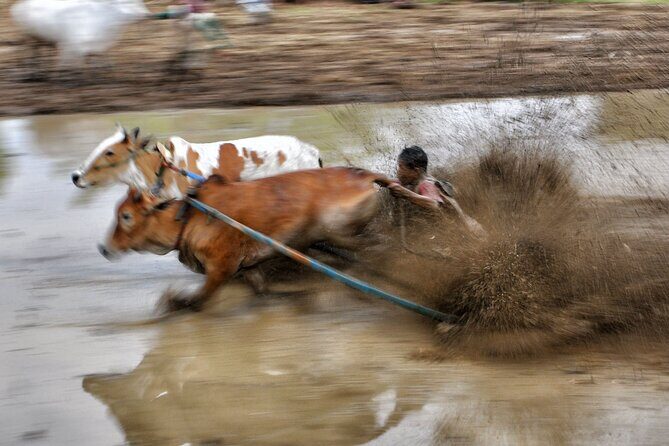 West Sumatra Private Tour from Padang By Private Car - Exploring West Sumatra: What the Tour Offers