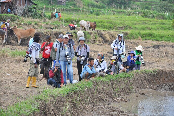 West Sumatra Private Tour from Padang By Private Car - Who Should Consider This Tour?