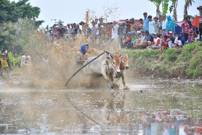 West Sumatra Private Tour from Padang By Private Car - FAQ