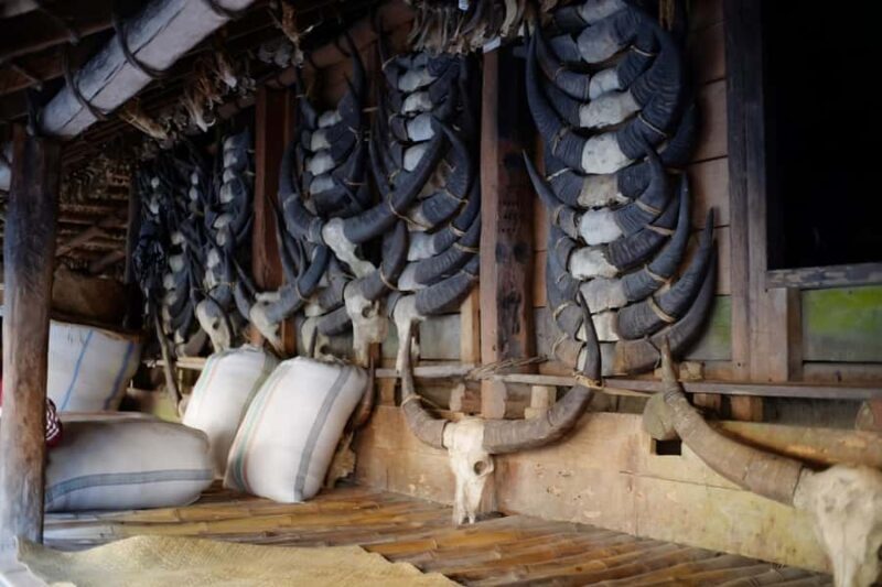 West Sumba: Highlights Tour with Ancient Villages - An Overview of the Tour Experience