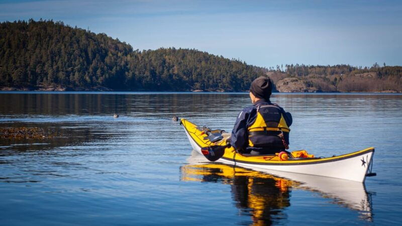 west-sweden-paddle-with-seals