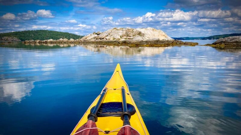 west-sweden-paddle-with-seals