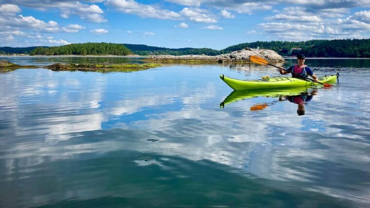west-sweden-paddle-with-seals