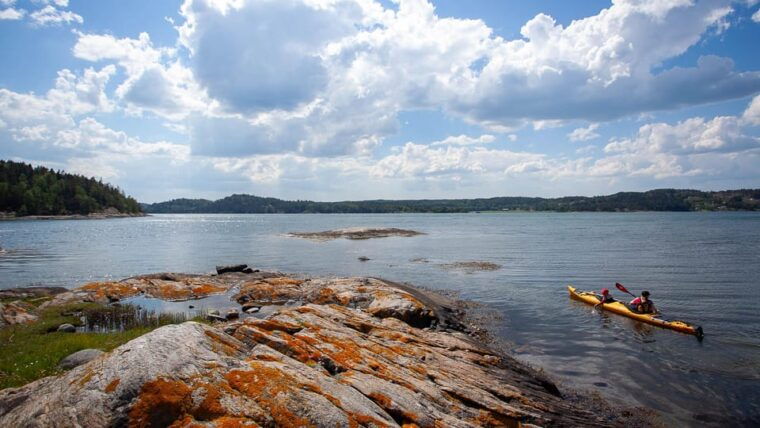 west-sweden-paddle-with-seals
