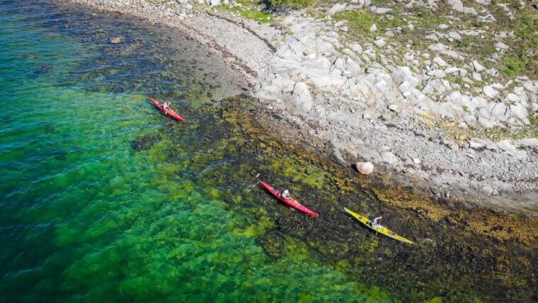 west-sweden-paddle-with-seals