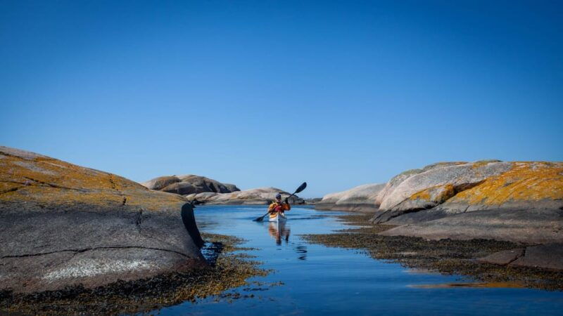 west-sweden-todays-catch-sea-kayak-tour
