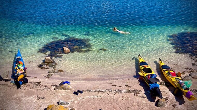 west-sweden-todays-catch-sea-kayak-tour