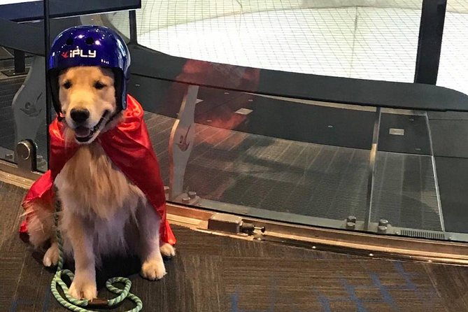 westchester-indoor-skydiving-admission-with-2-flights-personalized-certificate