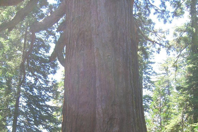 western-national-parks-7-day-explorer-lodging