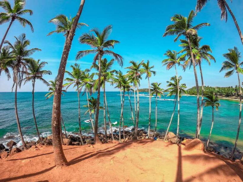 western-province-private-culture-nature-and-beach-tour