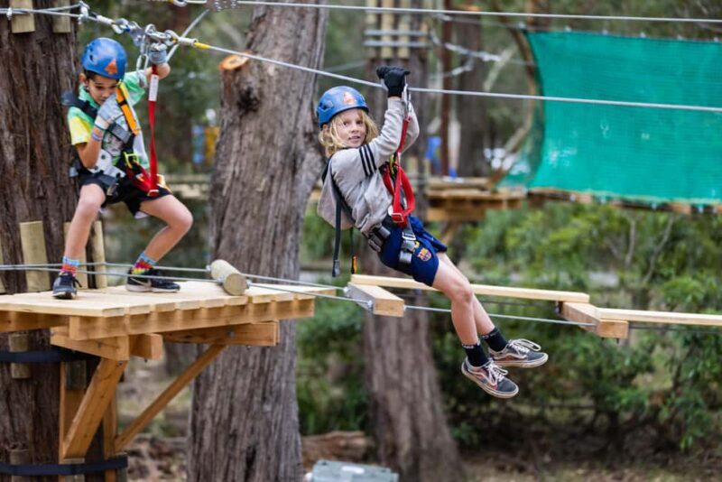 Western Sydney: Junior Tree Ropes Courses - What to Expect: A Closer Look at the Experience