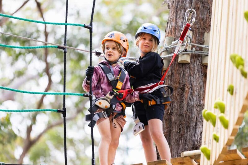 Western Sydney: Junior Tree Ropes Courses - The Sum Up