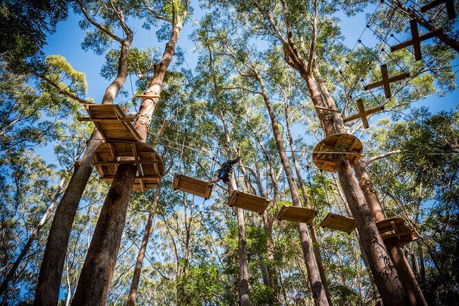 Western Sydney Tree Ropes Course - Key Points