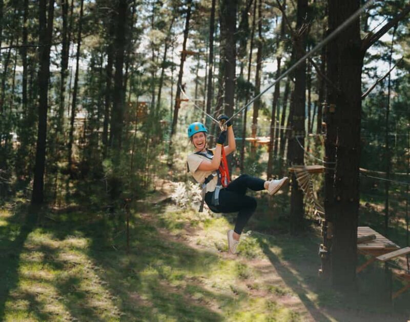 Western Sydney: Tree Ropes Courses - Introduction and First Impressions