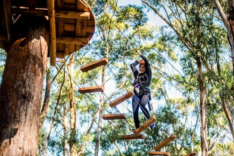 Western Sydney: Tree Ropes Courses - The Itinerary in Detail