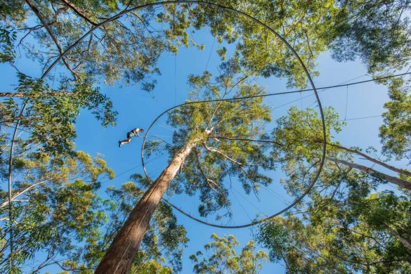 Western Sydney: Zipcoaster Experience - Key Points