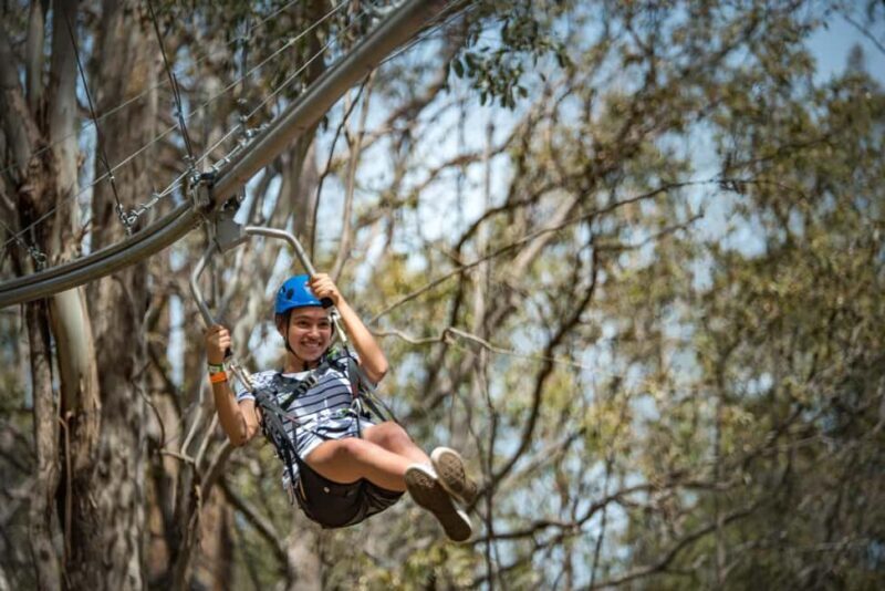 Western Sydney: Zipcoaster Experience - What Is the Zipcoaster Experience?