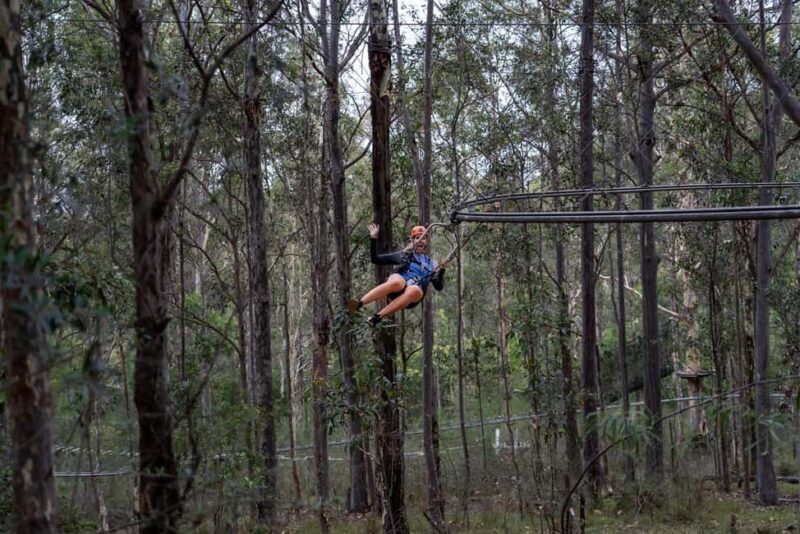 Western Sydney: Zipcoaster Experience - The Group Size and Atmosphere