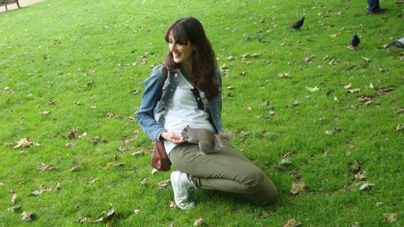 westminster-and-national-gallery-3-5-hour-tour-in-italian