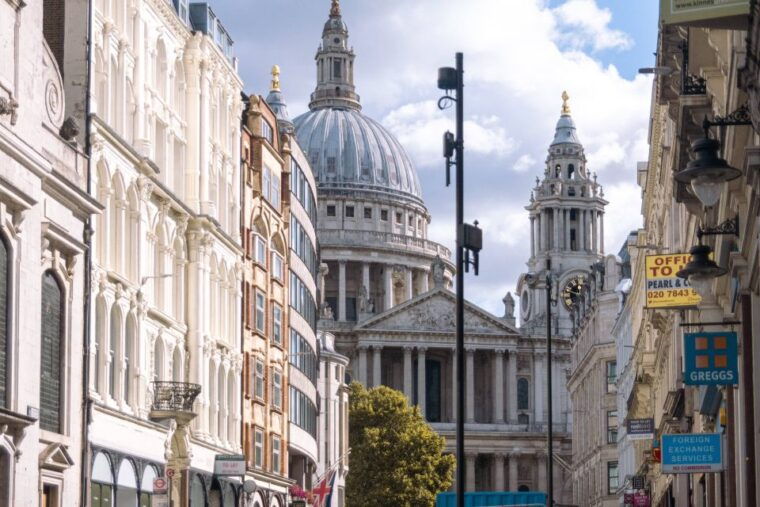 westminster-to-tower-bridge-customized-tour-with-a-local