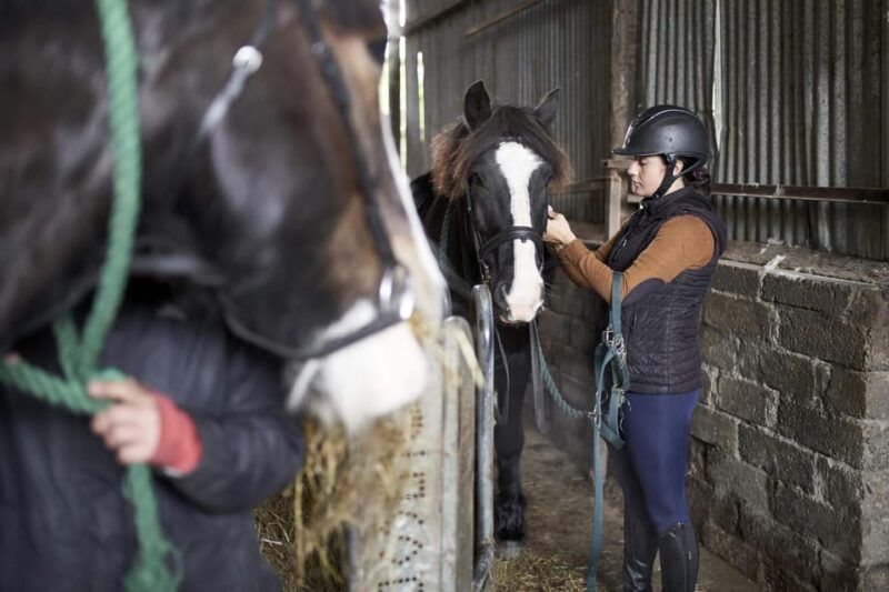 westport-beach-and-countryside-guided-horse-ride