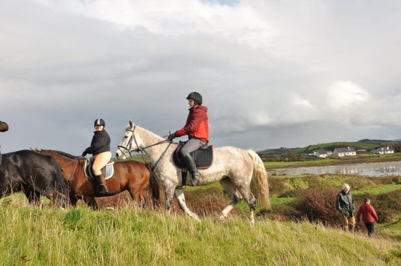 westport-beach-and-countryside-guided-horse-ride