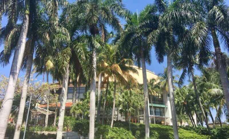 Wet & Dry Fort Lauderdale - The Land Portion: Walking Through History and Charm
