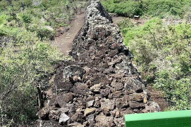 wetlands-tour-with-wall-of-tears-from-isabela-island
