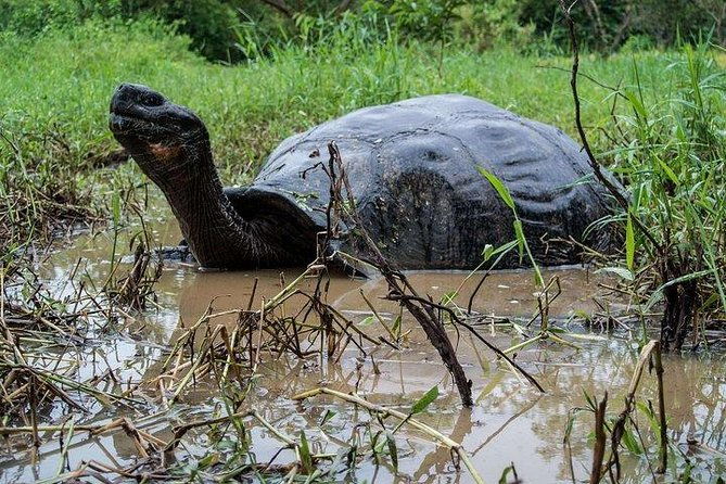 wetlands-tour-with-wall-of-tears-from-isabela-island