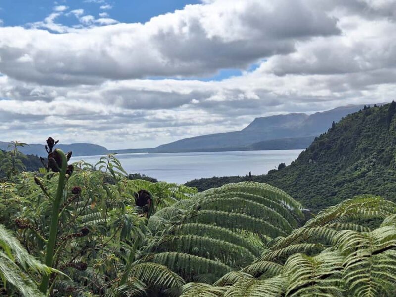 Whakarewarewa Maori Village, Lakes, and Redwoods Forest - Who Would Love This Tour?