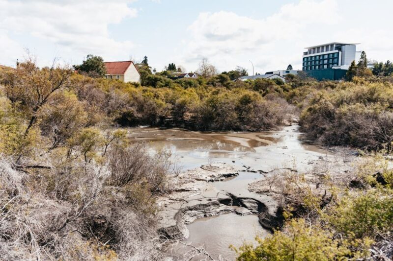 Whakarewarewa: Self-Guided Geothermal Trails - An In-Depth Look at Whakarewarewa’s Geothermal Trails