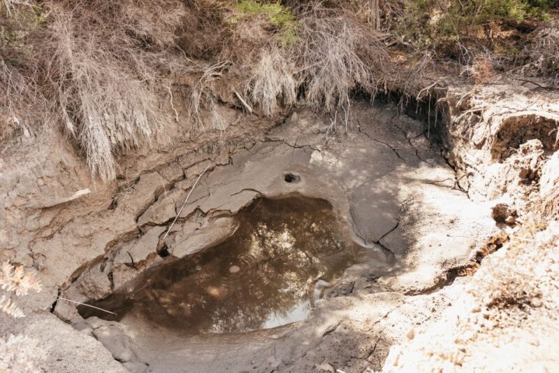 Whakarewarewa: Self-Guided Geothermal Trails - Final Thoughts
