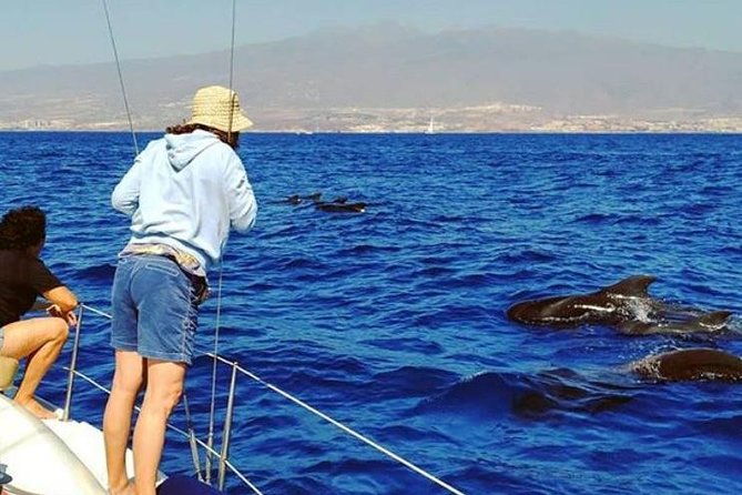 whale-and-dolphin-small-group-sailing-from-tenerife-south