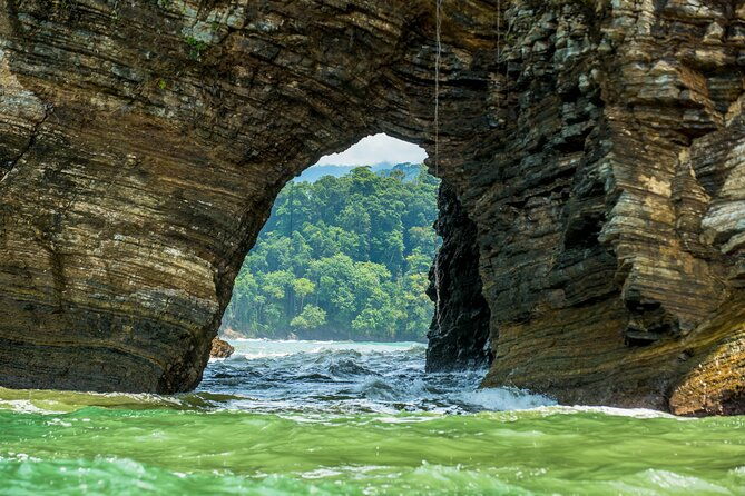 whale-and-dolphin-tour-july-october-20