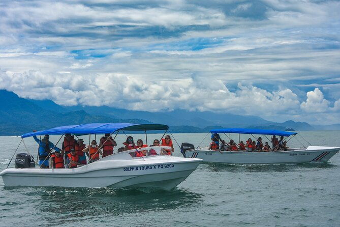 whale-and-dolphin-tour-july-october-20