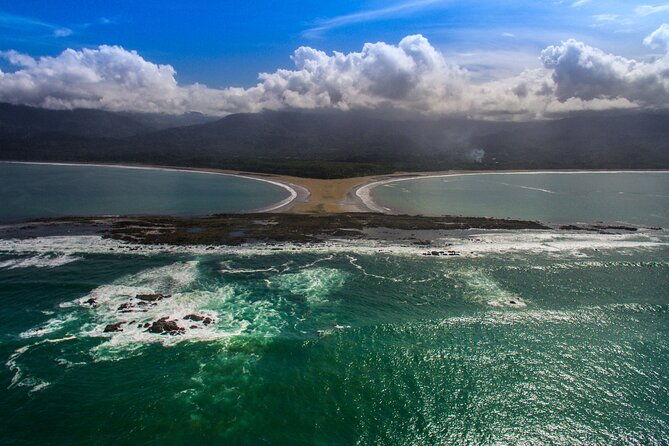 whale-and-dolphin-tour-july-october-20