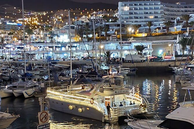 whale-and-dolphin-watching-catamaran-with-transfer-and-buffet