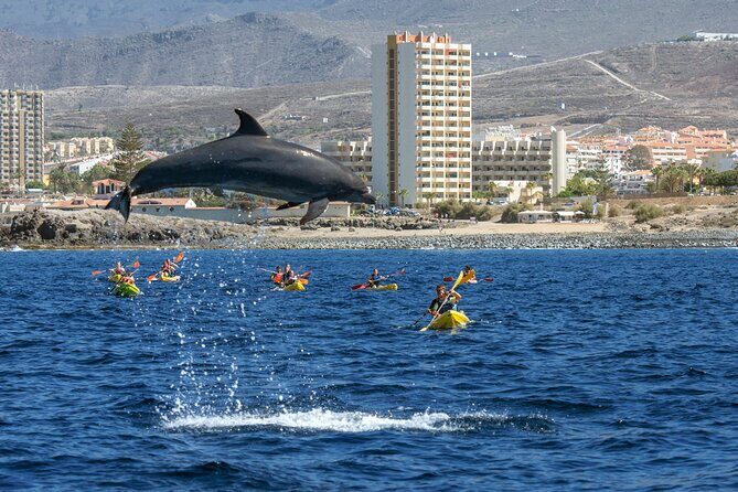 Whale and Dolphin Watching EcoAdventure in Tenerife - Whale and Dolphin Watching EcoAdventure in Tenerife: A Truly Authentic Marine Encounter