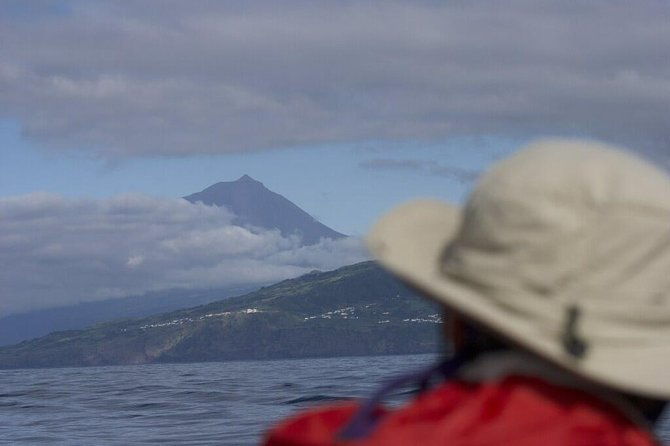 whale-and-dolphin-watching-in-pico-island-2