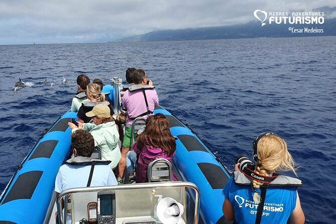 whale-and-dolphin-watching-in-pico-island