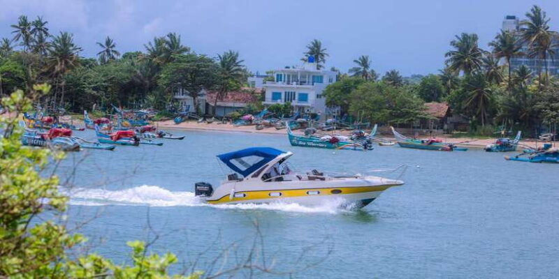 whale-and-dolphin-watching-private-speed-boat-tour