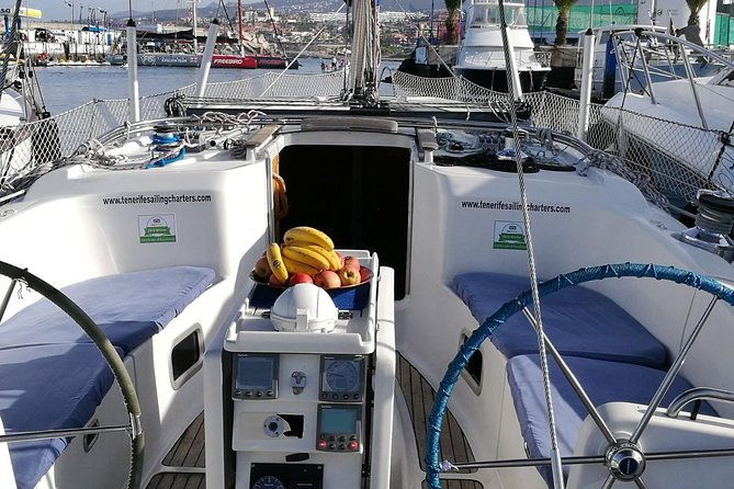 whale-and-dolphin-watching-sailing-boat-with-drinks-snacks-and-swimming-time