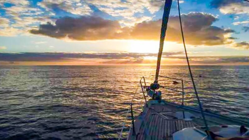 Whale and Dolphin Watching Sailing Tour  Los Gigantes (3H) - FAQs