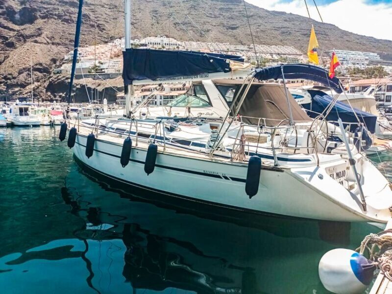 Whale and Dolphin Watching Sailing Tour  Los Gigantes (3H) - Final Thoughts