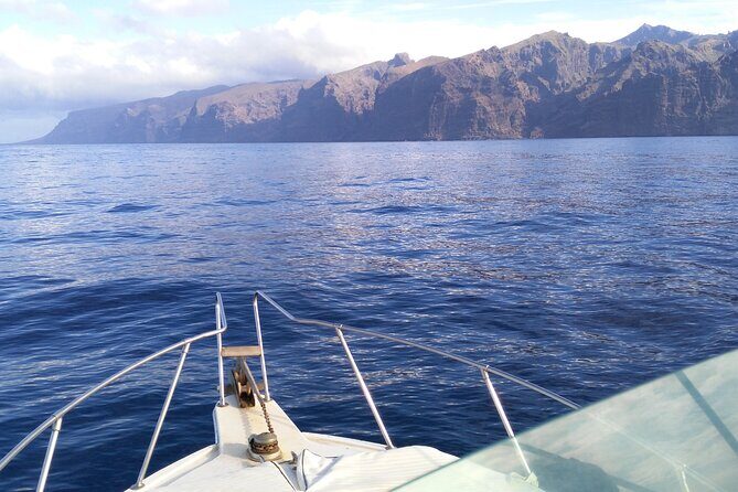 Whale and dolphin watching tour Los Gigantes and Masca in small groups - The Sum Up: Is This Tour for You?