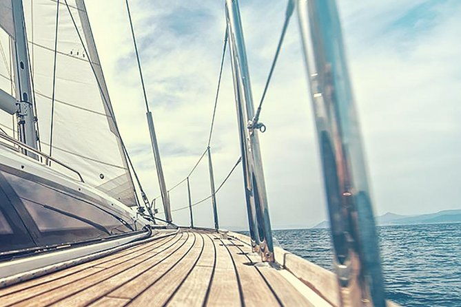 whale-and-dolphin-watching-yacht-trip-in-puerto-colon