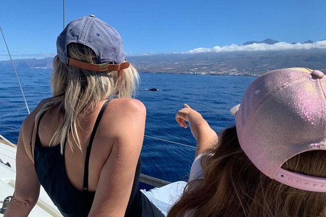 whale-and-dolphin-watching-yacht-trip-in-puerto-colon