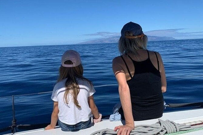 whale-and-dolphin-watching-yacht-trip-in-puerto-colon