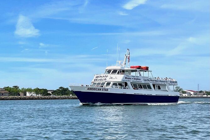 whale-dolphin-and-bird-watching-ecotour-cruise