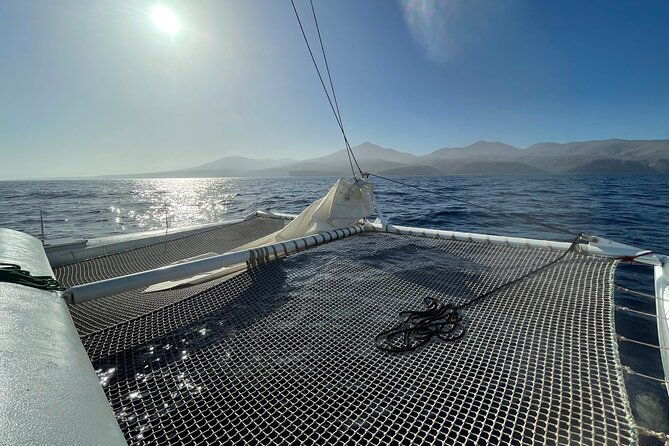 whale-dolphin-observation-on-silent-catamaran-with-hydrophone
